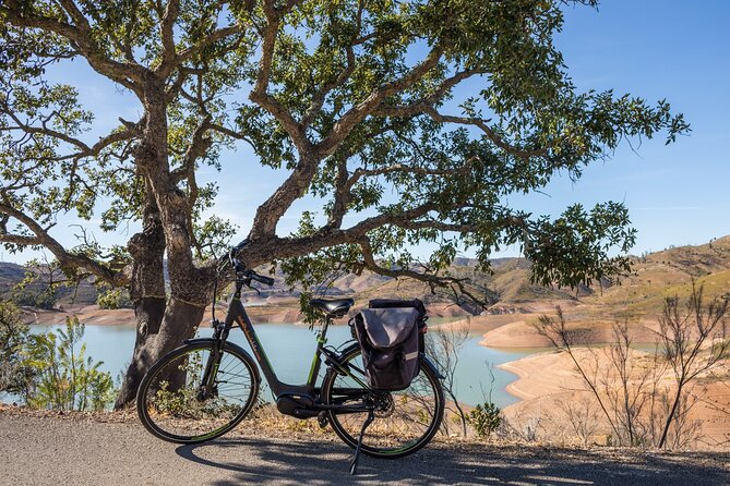 Half-Day Small-Group E-Bike Tour of Rural Algarve With Lunch - Key Points