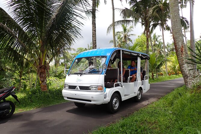 Half Day Ubud Waterfall Tour - Key Points