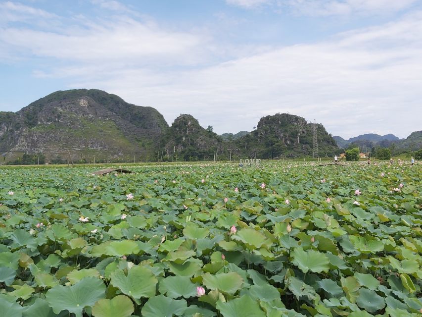 Hanoi - Hoa Lu and Tam Coc - Hanoi Full Day Tour - Key Points