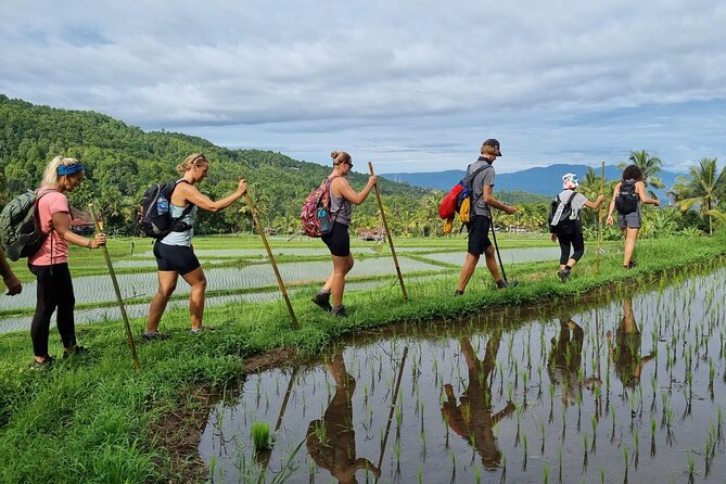 Heart of Bali, a 5-Day Walking Journey Through the Island of Gods - Key Points