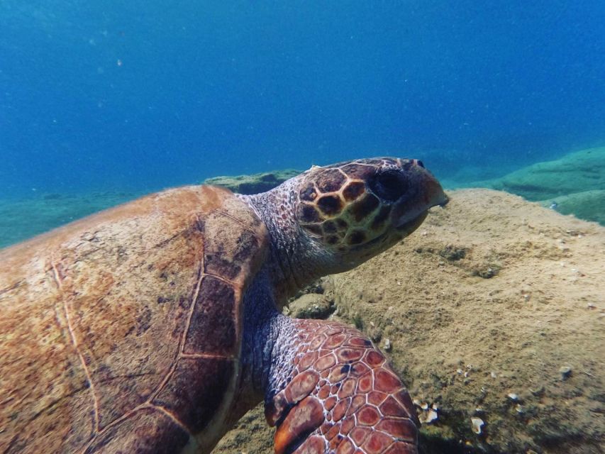 Heraklion: Beginners Intro Dive W/2 Dives With Transfer. - Key Points