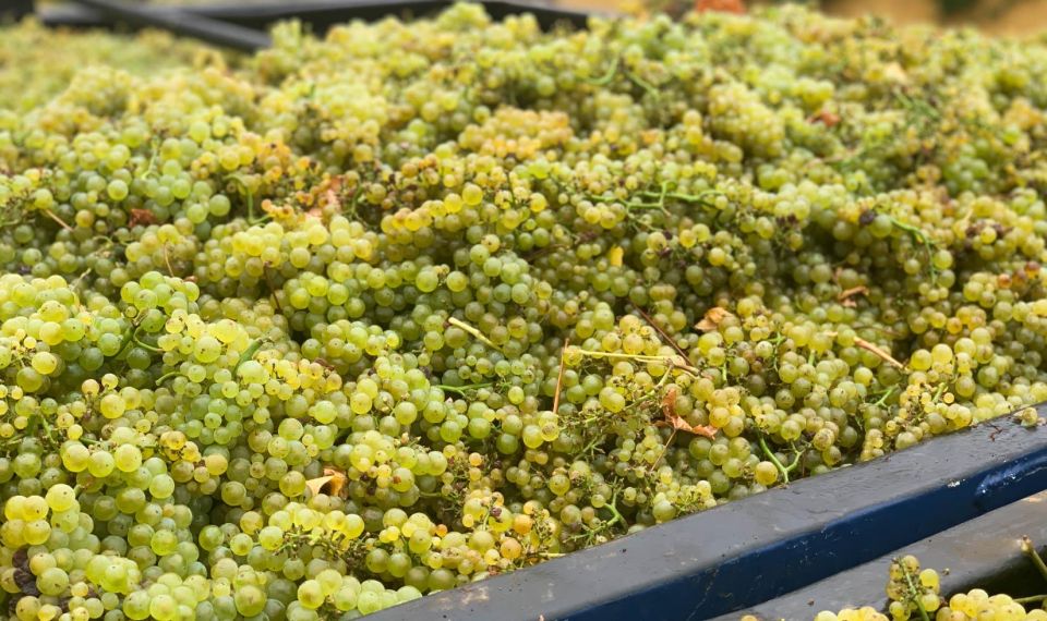 Heraklion: Half Day Small Group Olive Oil & Wine Tour - Key Points