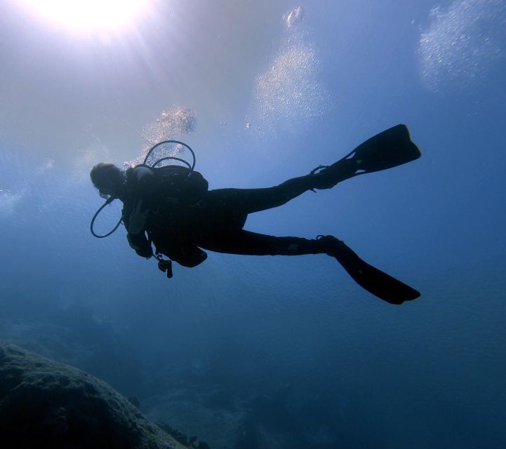 Hersonissos, Stalida: Beginner Scuba Diving Experience - Key Points