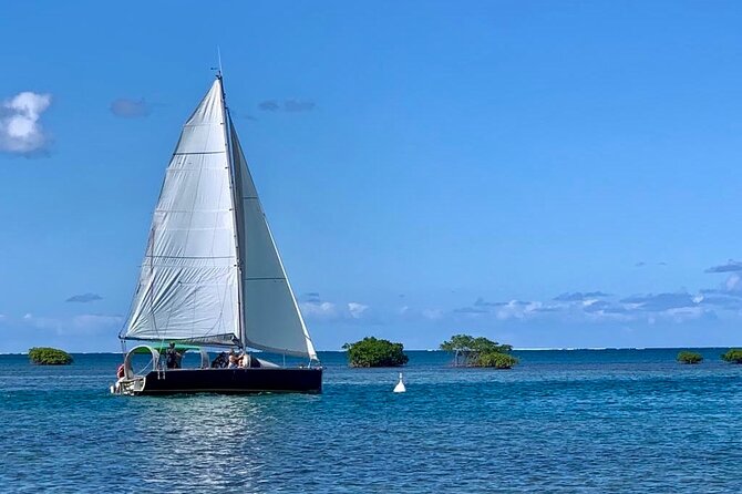 Hiking 100% Sailing 100% Ecological: Lagoon Snorkelling Paddle - Experience Overview