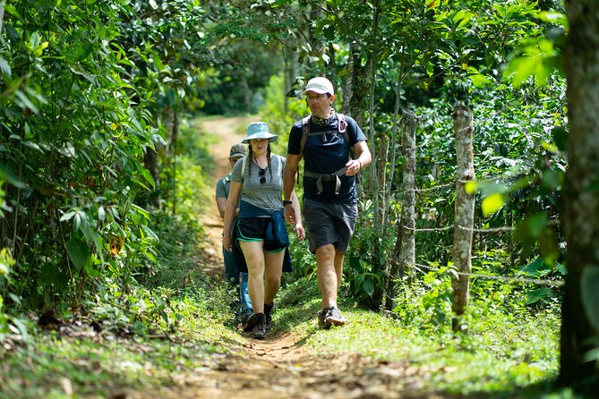 Hiking in Pance on the Mountain Range Near the Farallones De Cali - Tour Overview
