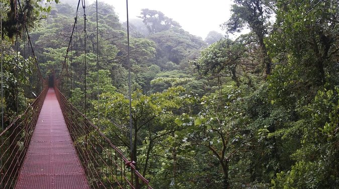 Hiking in the Cloud Forest - Key Points