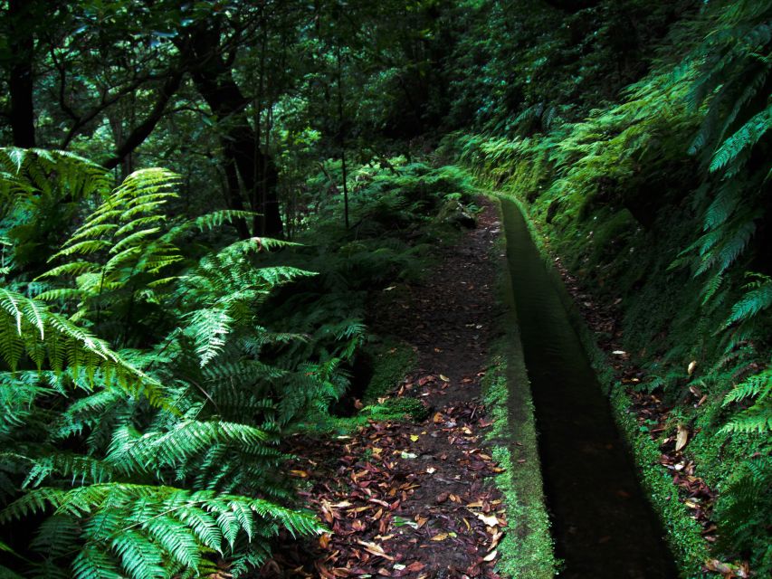 Hiking Levadas of Madeira: Levada Do Rei - Key Points