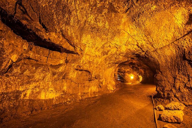 Hilo Shore Excursion: Active Volcano, Lava Tube, Waterfall and Gardens - Key Points