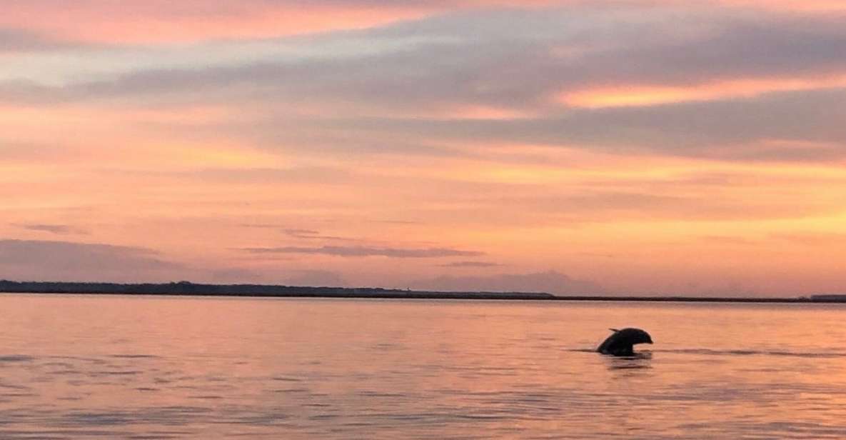 Hilton Head Island: Sunset Dolphin Watching Tour