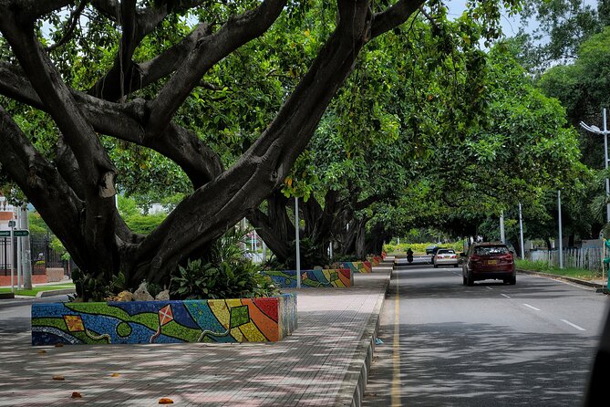 Historical and Cultural Walk in Valledupar, Colombia, South America - Overview of Valledupar