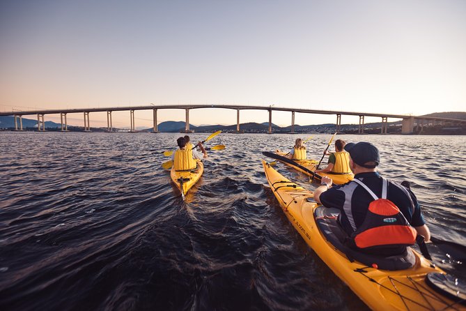 Hobart Kayak Tour - Key Points