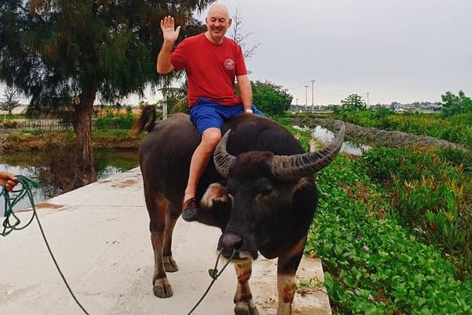 Hoi an Countryside Tour With Bamboo Basket Boat Rowing , Buffalo Ride, Farming - Included Activities