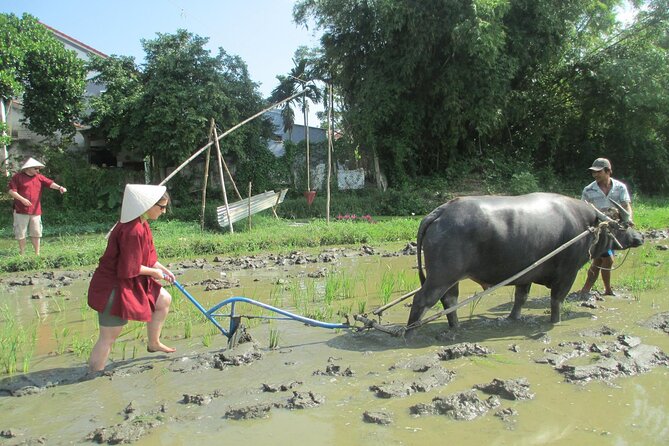Hoi An Wet Rice Farming Tour Private Basket Boat Fishing & Lunch - Tour Highlights