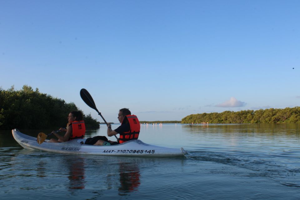 Holbox: Guided Sunrise Kayak Tour Through Mangrove Reserve - Key Points