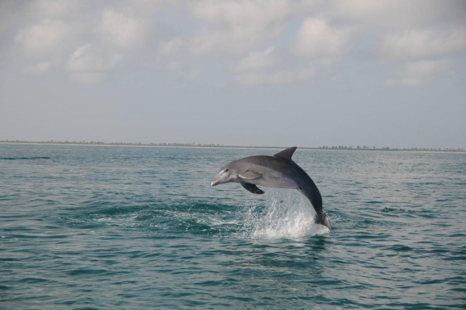 Holbox: Three Islands Tour