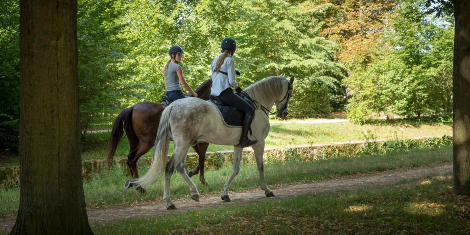 Horse Ride Versailles Intimacy & Vip - Experience Overview