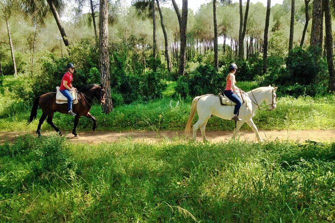 Horse Riding Excursion From Seville - Key Points