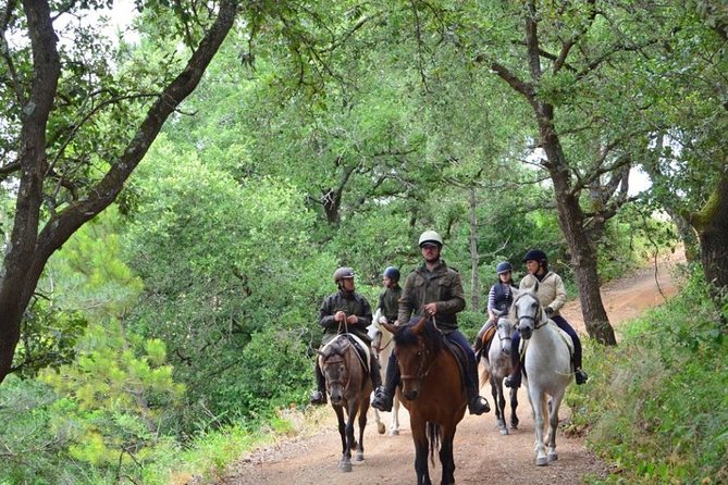 Horseback Riding, 4 Options-Mountain, Lesson Ring, Beach (2Hours) - Tour Overview and Highlights