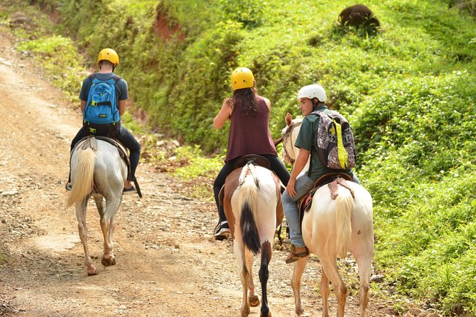 Horseback Riding Through the Jungle - Itinerary Highlights