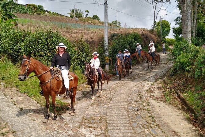 Horseback Riding Tour