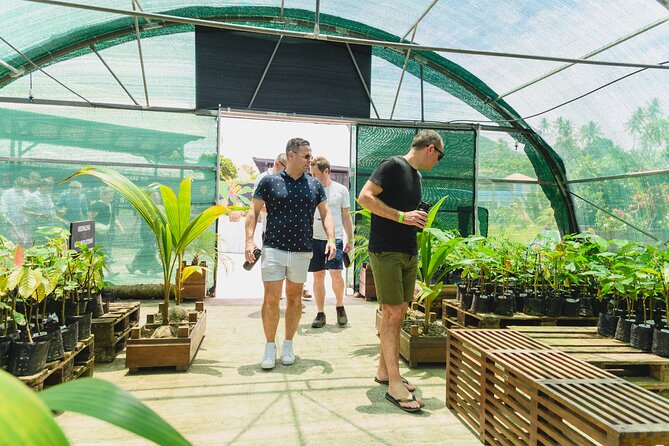 Hotel Chocolat: From Tree to Bar Tour With Tasting in St. Lucia - Cacao Cultivation