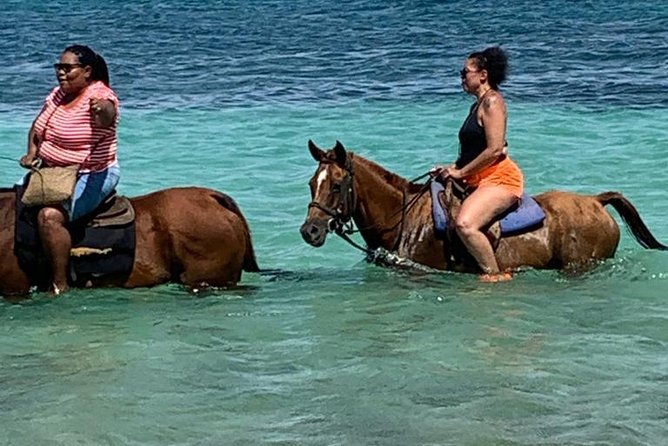 Hour Horseback Riding Guided Tour From Runaway Bay - Overview of the Guided Tour