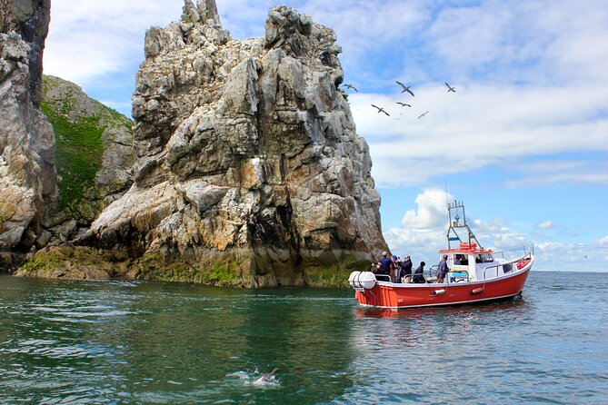 Howth Coastal 1 Hour Boat Tour (Irelands Eye Ferries) - Good To Know