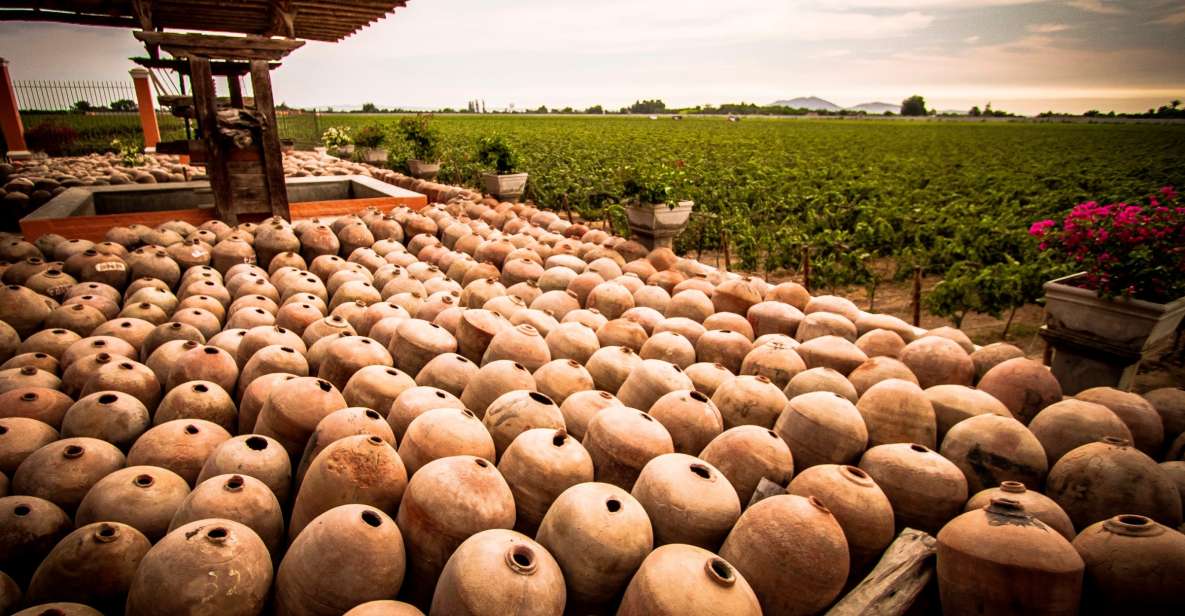 Ica: Private City Tour & Wine Tasting - Key Points