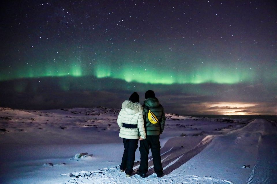 Iceland: Northern Lights Bus Tour From Reykjavik - Key Points