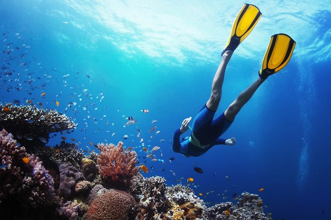 Island Hopping: Nalusuan, Hiltungan and Caohagan - Island Hopping Itinerary