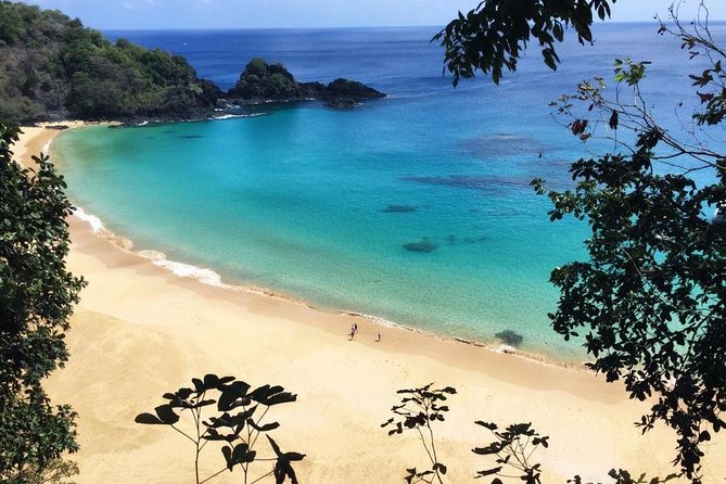Island Tour in Fernando De Noronha - Tour Overview