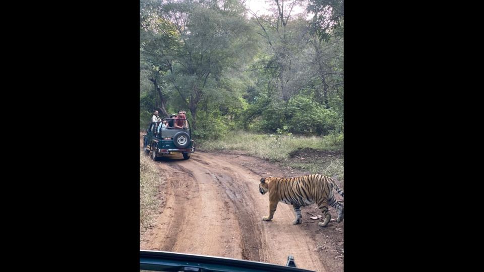 Jaipur to Ranthambore Day Trip - Key Points