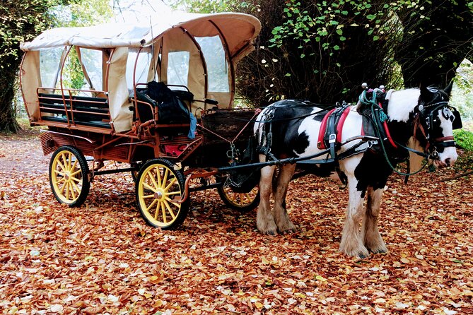 Jaunting Car Tour in Killarney National Park - Overview of the Jaunting Car Tour