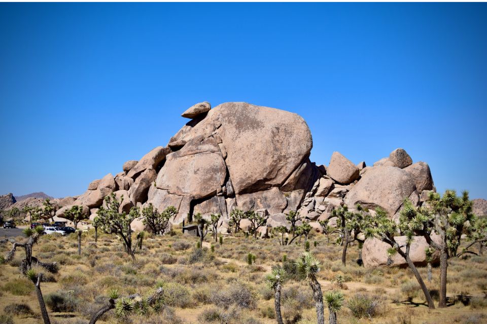 Joshua Tree National Park: Self-Driving Audio Tour - Key Points