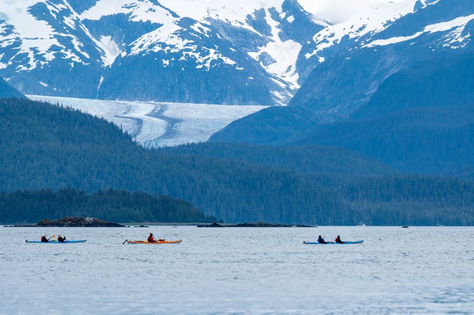 Juneau: Channel Islands Whale Watching Kayak Adventure - Key Points