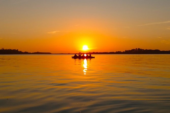 Kayak Adventure of Shell Key Preserve & Island With a Local