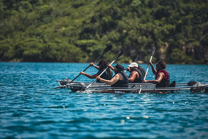 Kayak Eco Adventures Glass Kayak Nature and Snorkeling Tour - Tour Highlights