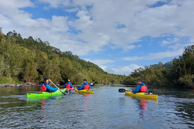 Kayak Through the Sunken Forest of the Maullín River - Key Points