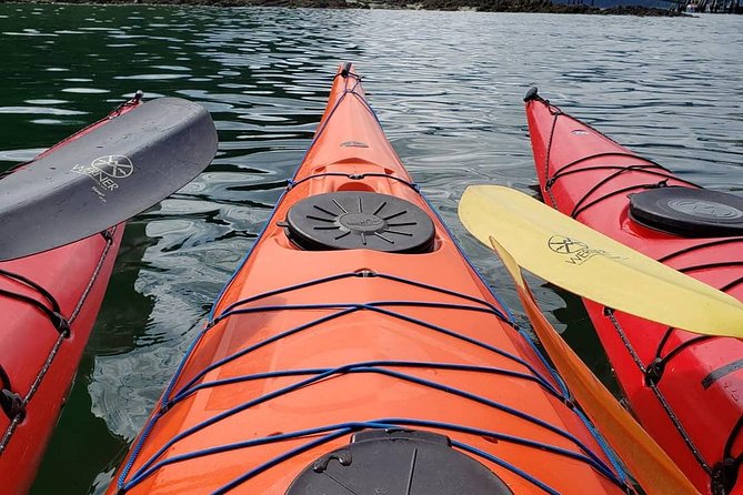 Kayak Tours - Key Points