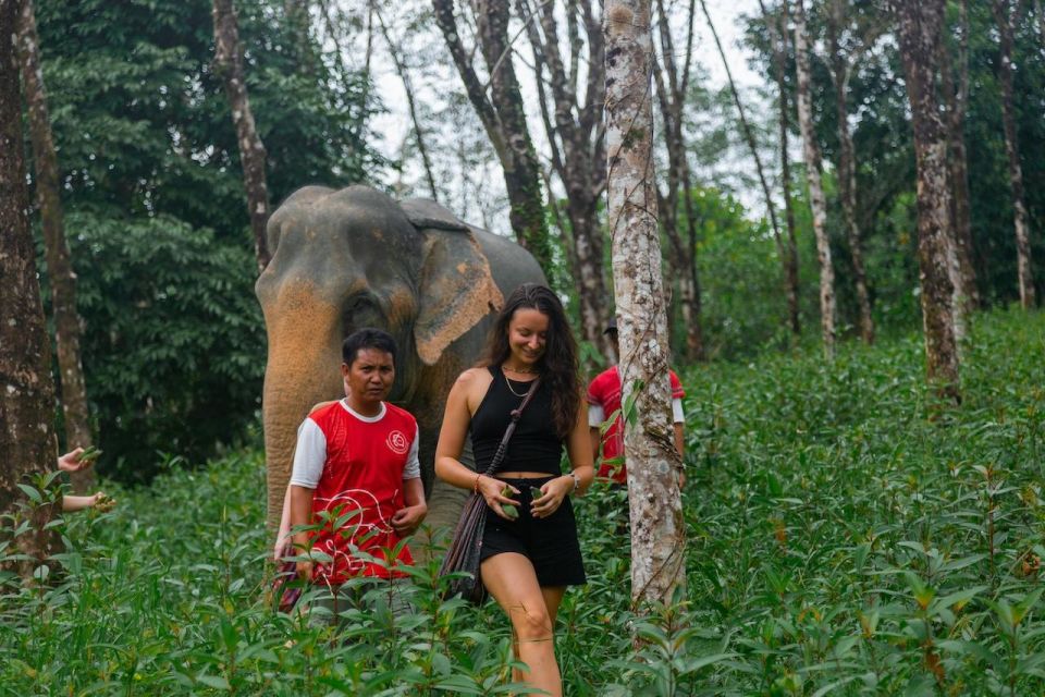 Khaolak: Begin the Day With Elephants - Walk and Feed Tour - Key Points