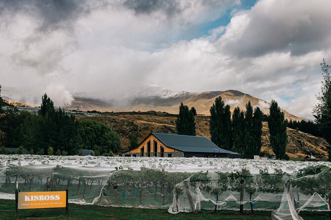 Kinross Winery: Wild Irishman Wine Tasting Experience - Key Points