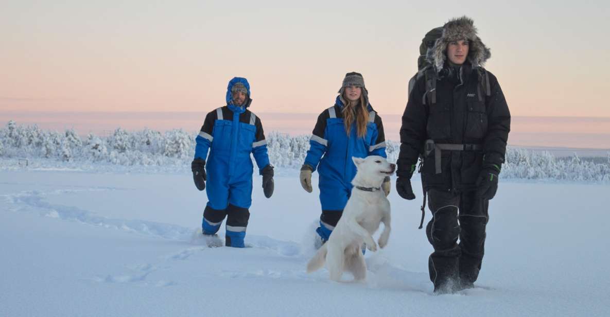 Kiruna: Snowshoe Hike & Ice Fishing Tour - Key Points