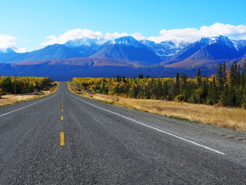 Kluane National Park: Full Day Tour - Key Points