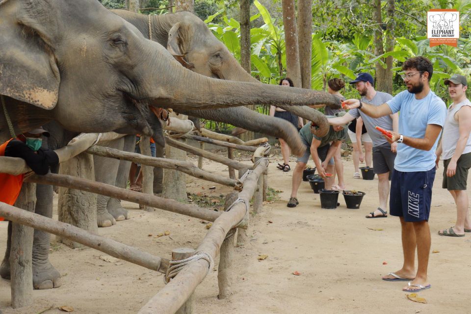 Koh Samui: Elephant Sanctuary Entry and Feeding Experience - Key Points