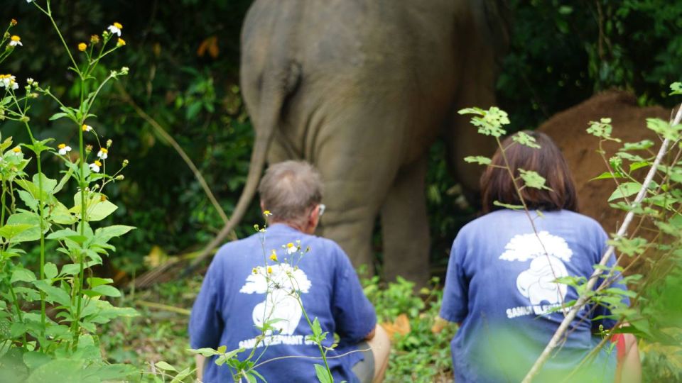 Koh Samui: Half-Day Ethical Elephant Sanctuary With Mud Spa - Key Points