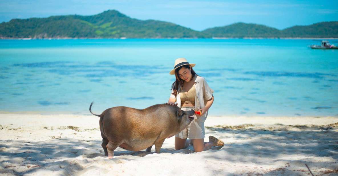 Koh Samui: Private Longtail Tour to Koh Mat Sum (Pig Island) - Key Points