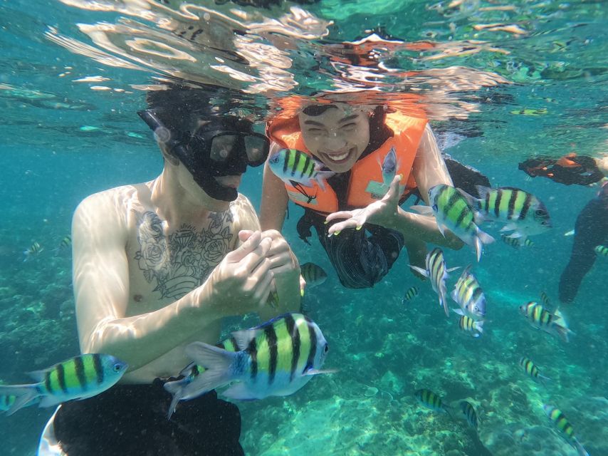 Krabi: Hong Island Tour, Sunset, Plankton, Snorkeling, BBQ - Key Points