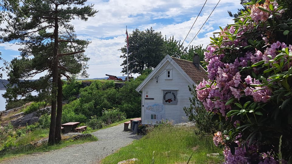 Kristiansand: Walking Tour on Ex-Military Island Odderøya - Good To Know