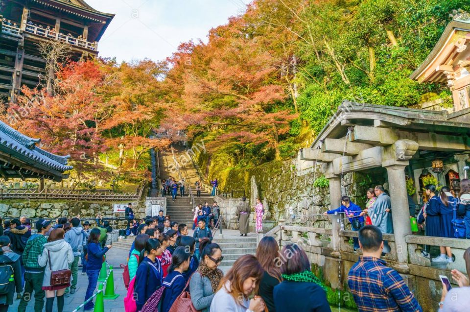 Kyoto: Private Tour With Local Licensed Guide - Key Points