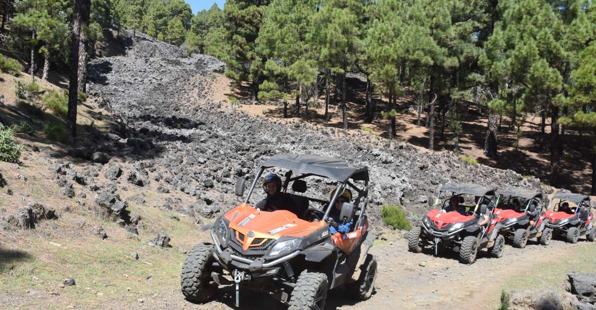 La Palma: Volcano Route Buggy Tour - Key Points